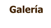 Galería